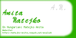 anita matejko business card